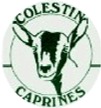 Visit Colestin Caprine Goat Milk Soap!