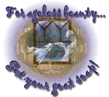 For ageless beauty, get your goat soap!