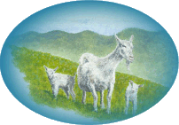 Harvest Hills Farm